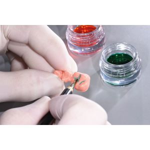 IPS e.max ZirCAD indfarvningsvæske LT Kit